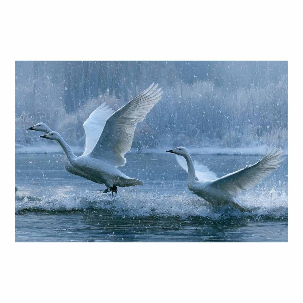 Toile cygne volant d'hiver multicolore sans cadre 40x60 - 7