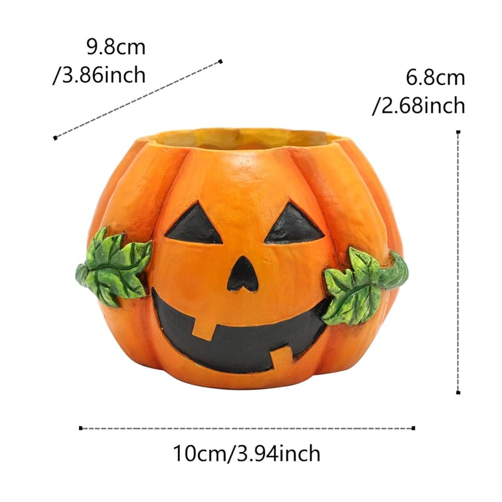 【ミエリ】ハロウィンかぼちゃ　本物　直径25cm  2個入り ミエリ】ハロウィンかぼちゃ 本物 直径25cm 2個入り ハロウィン