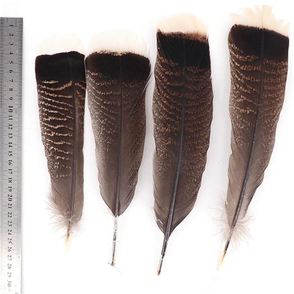 Naturalne pióra bażanta, Zestaw piór orła i indyka, 10 sztuk, naturalny, 25-30 cm