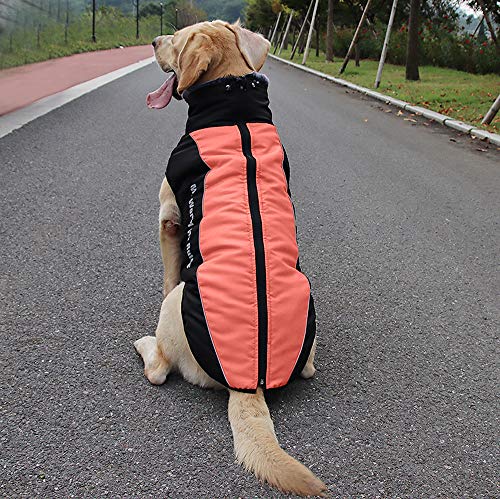 Idepet Hund Mantel Warme Jacke, Reflektierender Haustier-Schneeanzug Sport im Freien wasserdichte Hundekleidung Outfit-Weste für mittelgroße Hunde mit Gurtloch