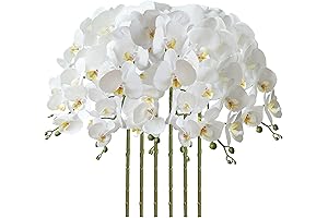 FagusHome Lifelike Artificial White Orchid Flowers