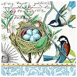 Michel Design Works 20-Count 3-Ply Paper Luncheon Napkins, Bird Nest