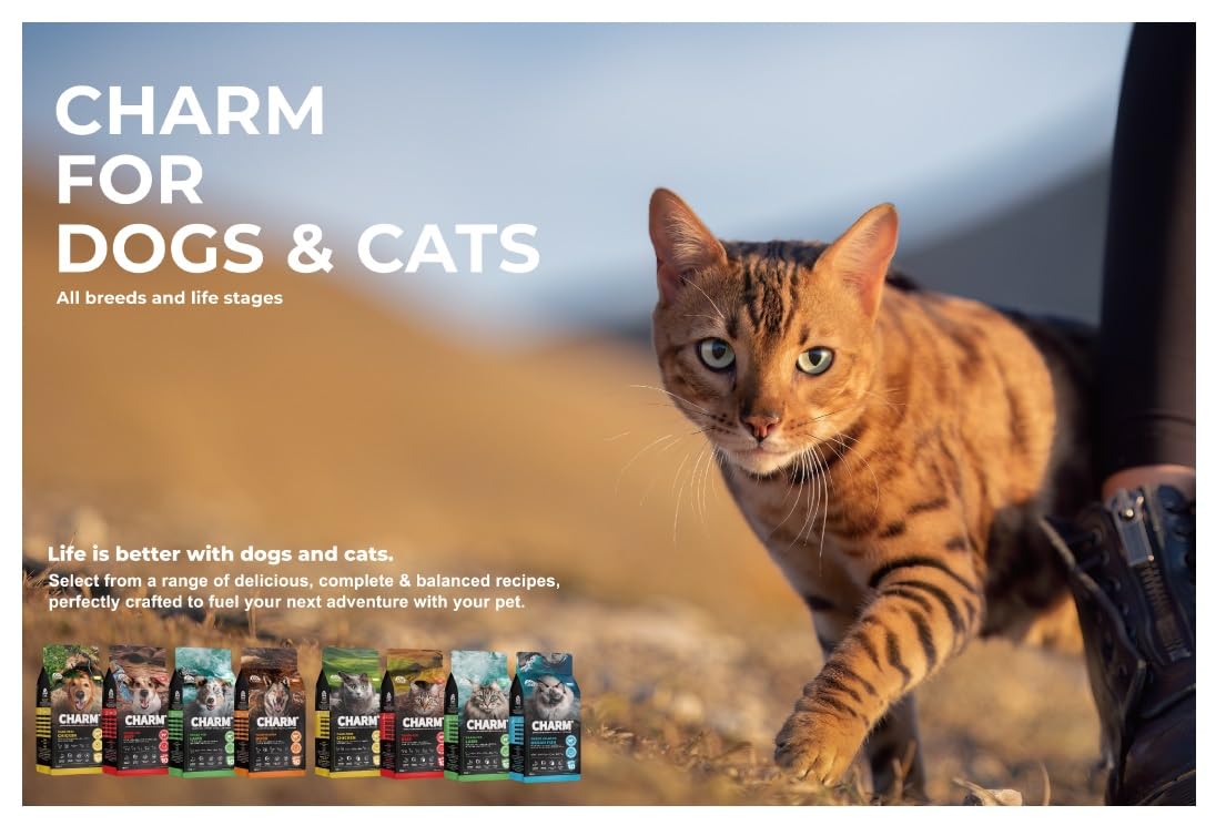 CHARM BEEF 5,4 Kg - CROCCHETTE gatto - MANZO - Grain Free