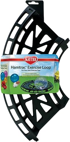 Kaytee Hamtrack - Bucle de ejercicio para pelotas de ejercicio y coche Critter Cruiser (incluye 4 secciones curvas)
