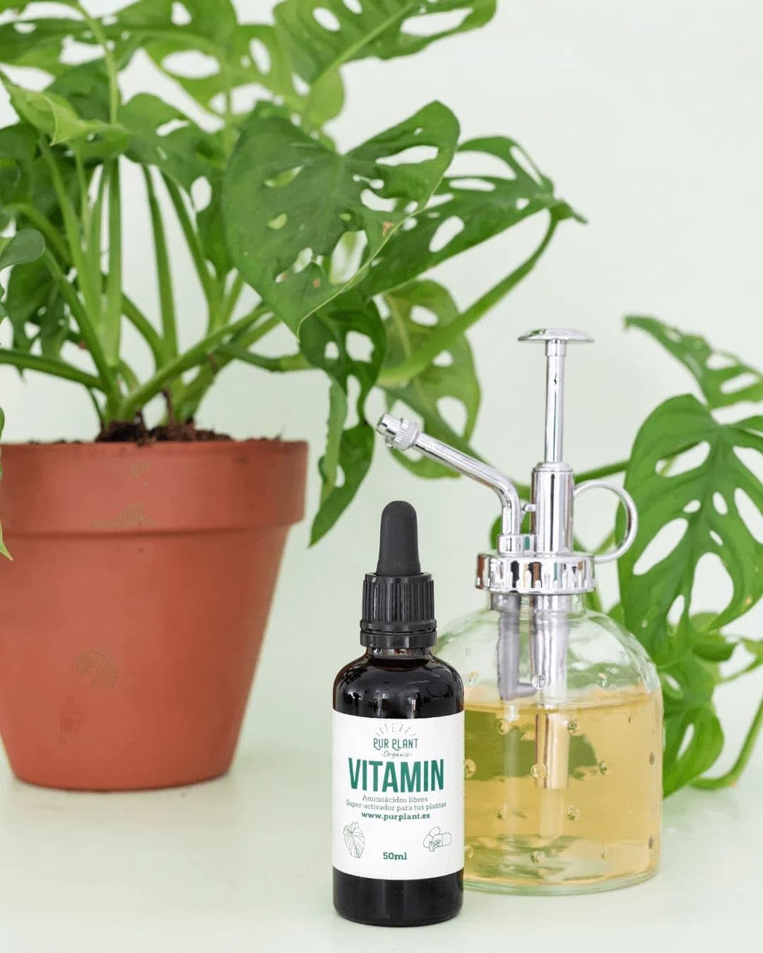 PUR PLANT Vitamin Aminoácidos Libres 50 ml | Superactivador Natural para Plantas | Recuperación y Estimulación Vegetal
