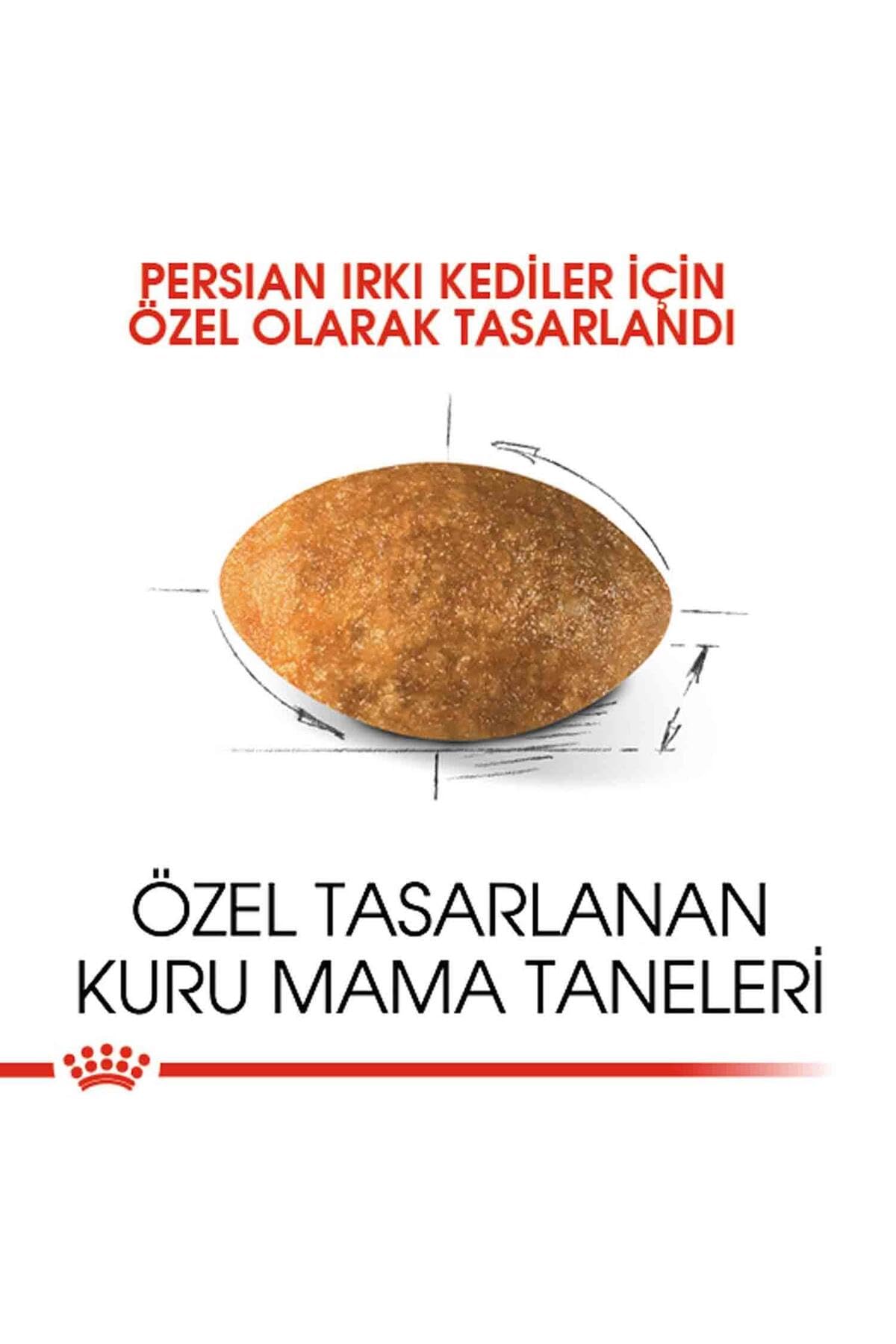 Royal Canin Persian - Pienso para gatos de raza persa 4Kg