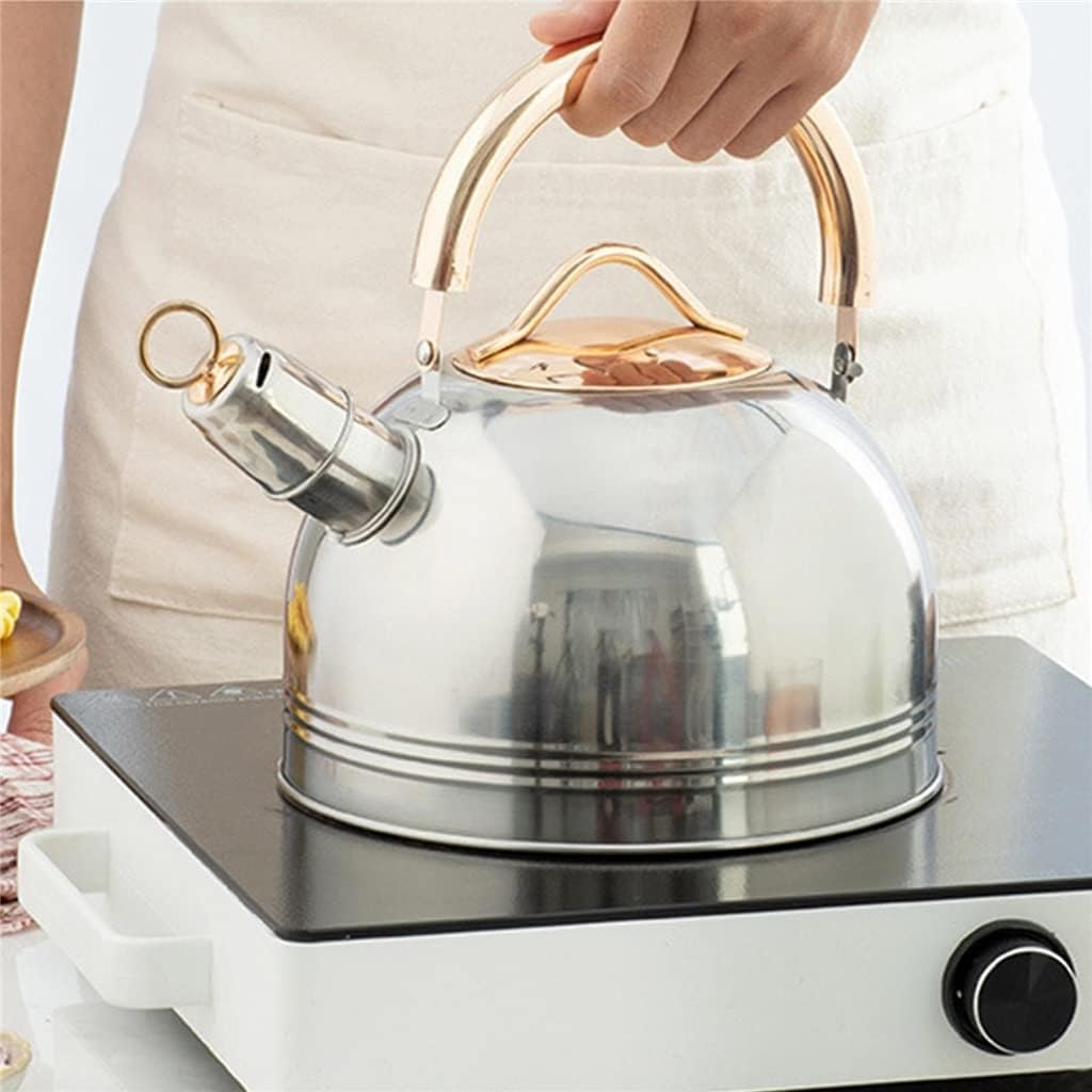 Czajnik z Gwizdkiem Gwizdający Czajnik Do Herbaty Ze Stali Nierdzewnej Czajniczek 3L/3000 ML Czajnik Do Wrzenia Kuchnia Herbaciarnia Kuchenka Indukcyjna Gwizdanie Czajnik Czajnik Kuchenek
