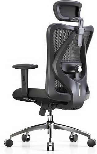 SIHOO M18 Ergonomic Office Chair, High Back Mesh Desk Chair