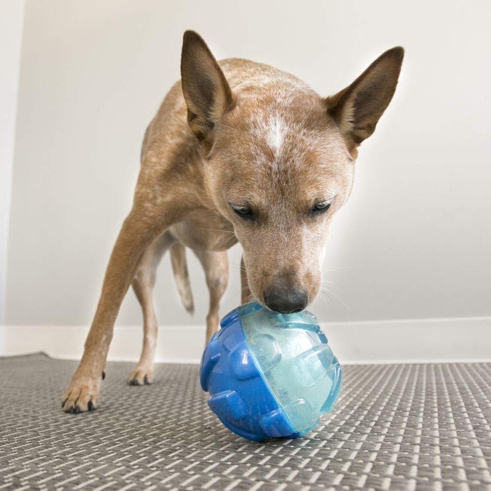 KONG – Rewards Ball – Besonders Robuster Interaktiver Leckerlispender – Für Große Hunde