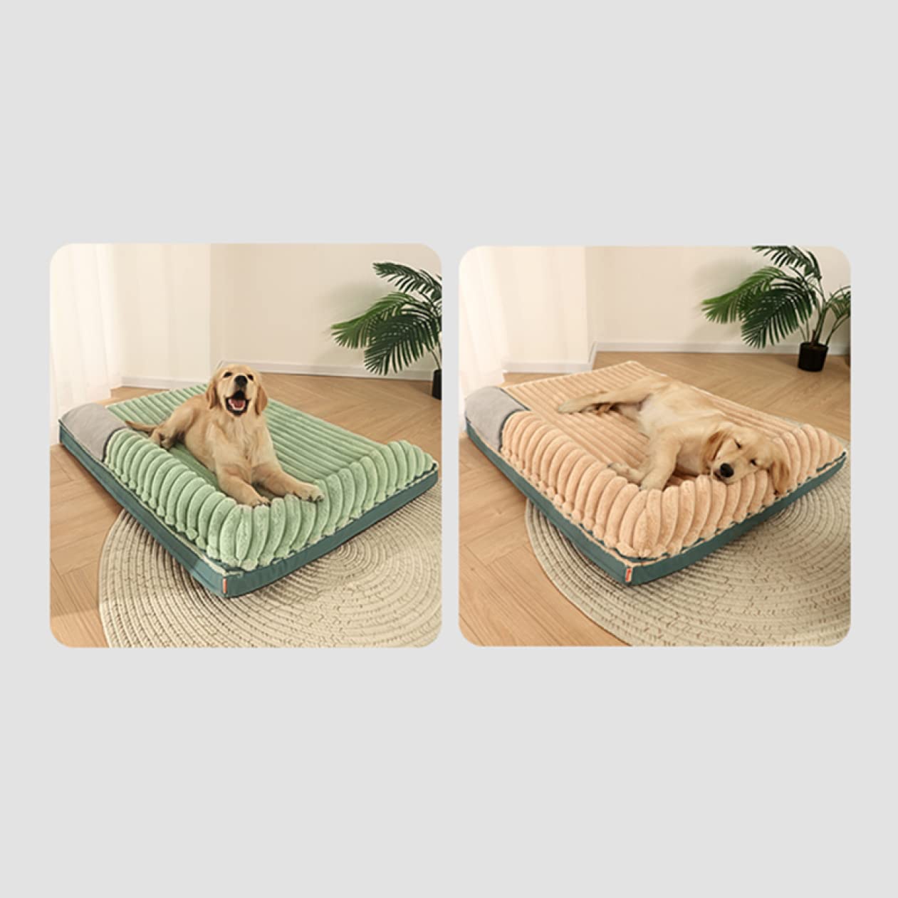 Amazon | [JUI3N] 80*60*13 ペットベッド イヌ ネコ 中型犬 大型犬