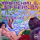 Mushrooms (The Remixes)