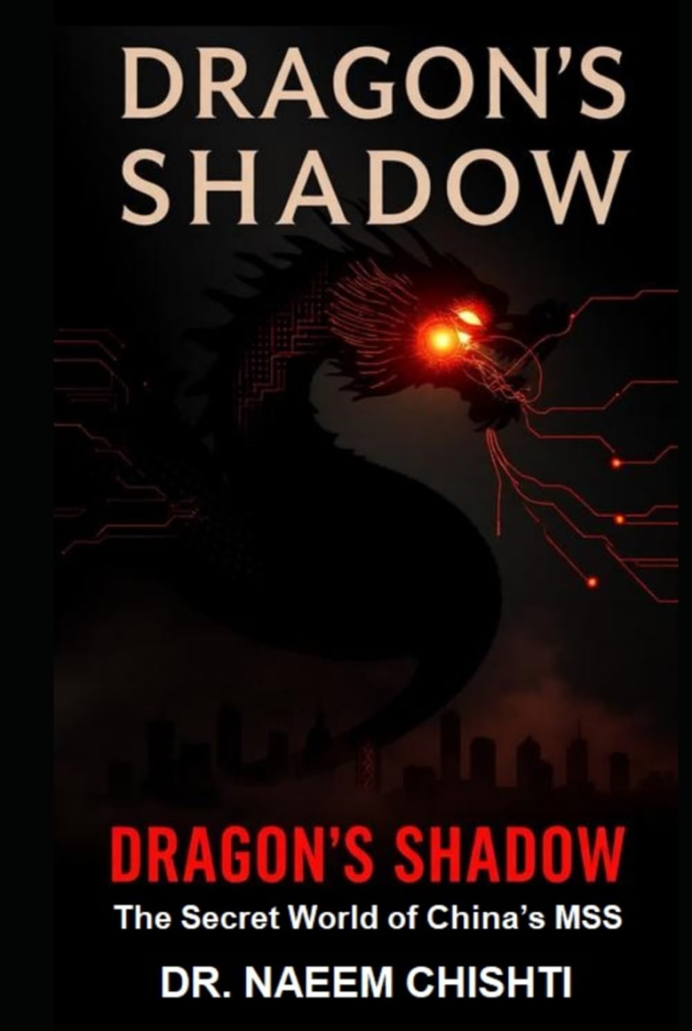 Dragon's Shadow: The Secret World of China's MSS