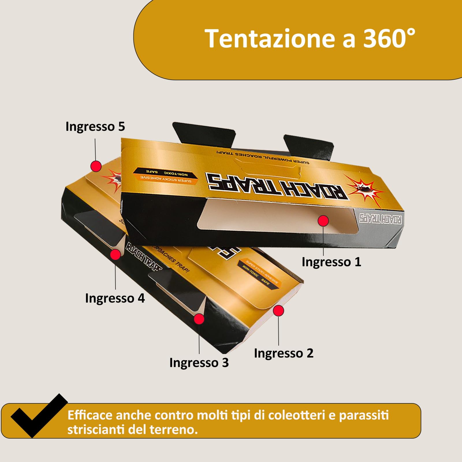 Trappola Scarafaggi, Confezione da 10, Con Colla Forte, Non Tossiche, Uso Domestico e Cucina