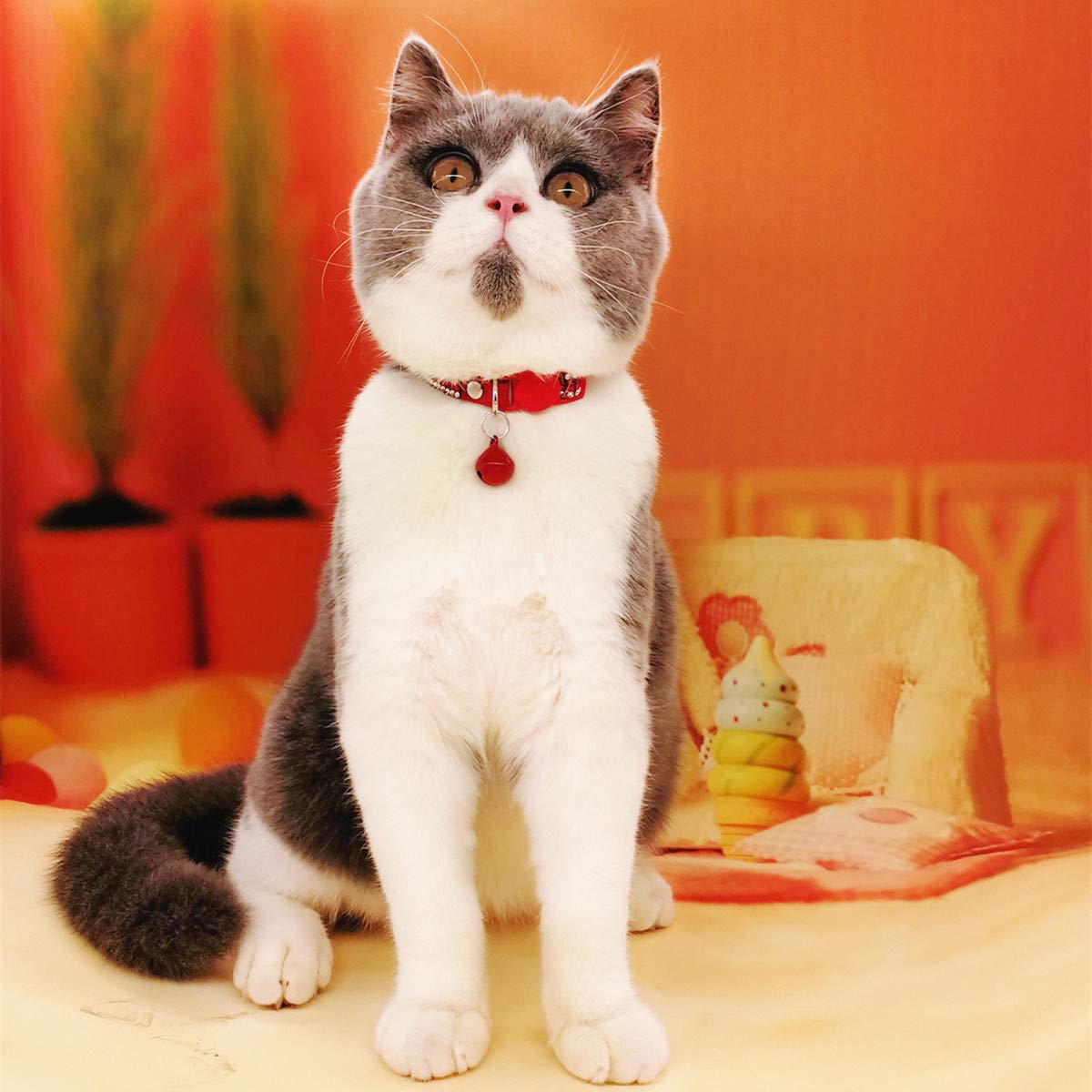 THAIN Verstellbares Katzenhalsband mit Glöckchen für Kätzchen, Mädchen, Jungen, Rot