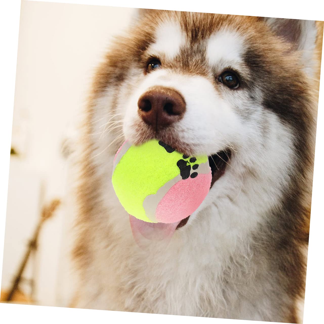 HEMOTON 16piezas Juguete De Pelota De Tenis para Mascotas Balones Interactivas De Goma para Perros Juguetes De Entrenamiento para Perros Balones para Pequeños para Exterior El Parque