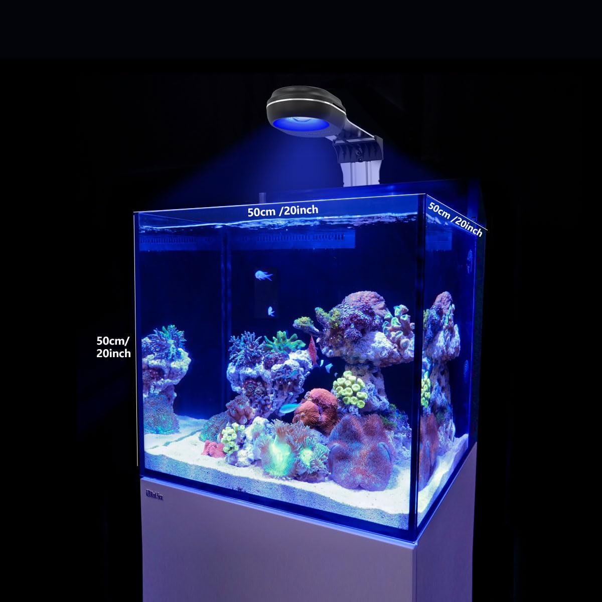 PopBloom RL60 Éclairage LED pour aquarium d'eau de mer à spectre complet, compatible Wi-Fi, pour récifs marins