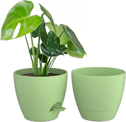 ZMTECH Paquete de 2 macetas de 10 pulgadas con borde de riego automático con agujeros de drenaje y platillo extraíble, maceta de plástico para ZMTECH Paquete de 2 macetas de 10 pulgadas con borde de riego automático con agujeros de drenaje y platillo extraíble, maceta de plástico para