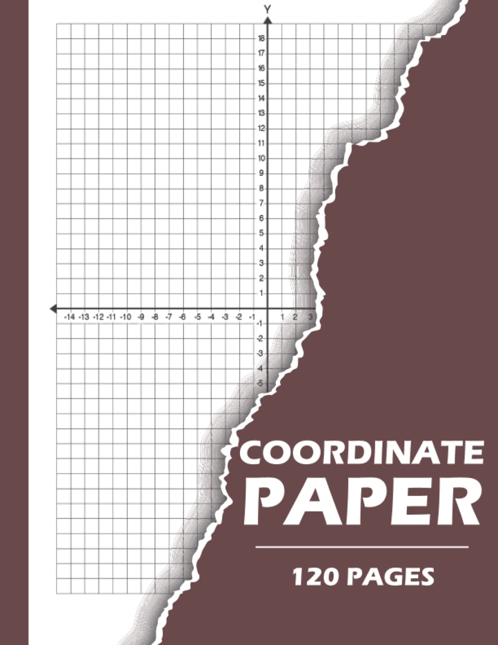 Coordinate Plane Graph Paper: Coordinate Graph Paper With XY Axis 4 Quadrant Coordinate Plane Poster, Large Coordinate Plane Paper, Coordinate X Y ... Math, Graphing Coordinate Paper Notebook