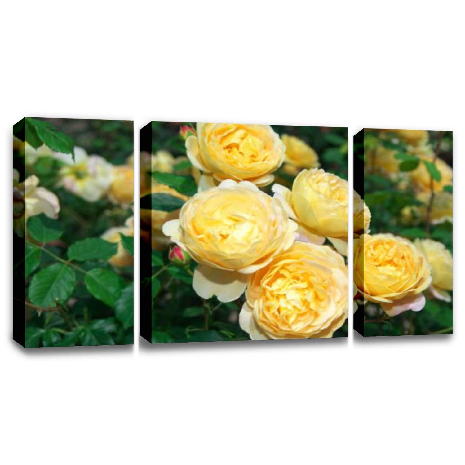 CCArtistEnglish Roses Garden in Sennan City Osaka Japan Wall Decor Print on Canvas Modern Artwork Living Room Bedroom Painting Art Wall