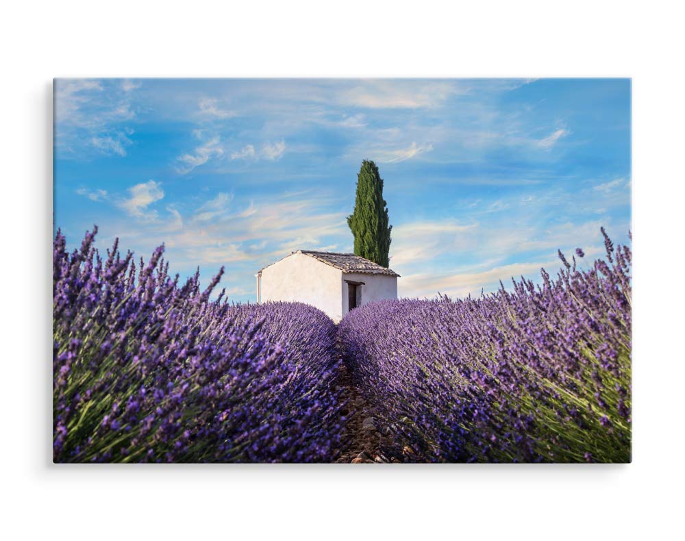 Muralo Wandbild Blumen, Lavendel, Natur, Landschaft - 120x80 cm | Leinwandbild, Modernes Design, hochauflösender Druck - ideal für Schlafzimmer und Wohnzimmer, Frühlingsflair das ganze Jahr