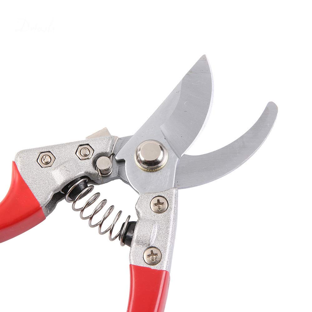 Ciseaux de Jardinage, greffage, cisaille à Main en Acier Inoxydable, Outils de Coupe d'arbres fruitiers, sécateurs de bonsaï