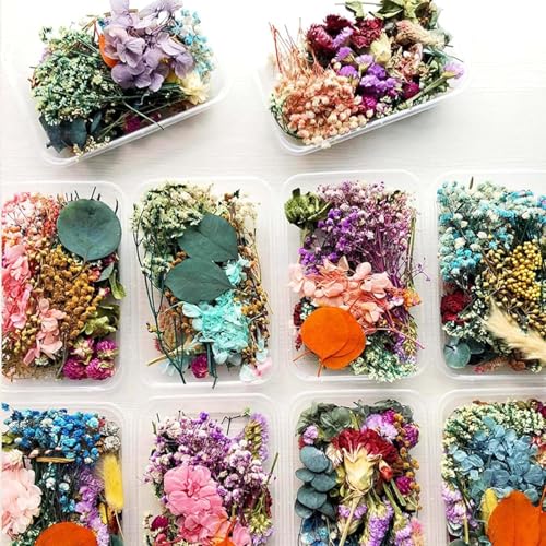 Accesorios para manualidades con flores secas y colgantes miniatura 1