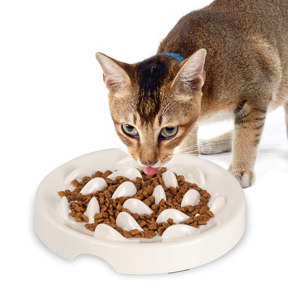 Slow Feeder Cat Bowl,Melamine Fun Interactive Feeder Bloat Stop Puzzle Cat Bowl Preventing Feeder Anti Gulping Healthy Eating Diet Pet Dog Slow Feeding Bowls Against Bloat, Indigestion and Obesity