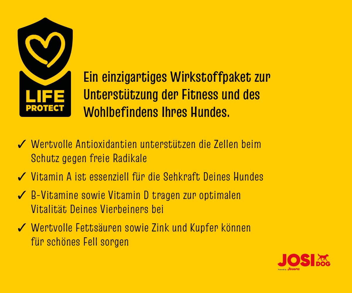 JosiDog Adult Sensitive (1 x 15 kg) | Karma dla psów wrażliwych, wyjątkowo wrażliwa i bezglutenowa | powered by JOSERA | sucha karma premium dla dorosłych, wrażliwych psów, 1 szt. w opakowaniu