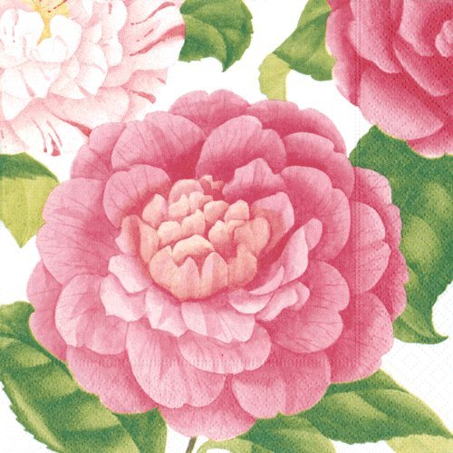 4 servilletas de papel para decoupage  3 capas, 33 x 33 cm  Camellias