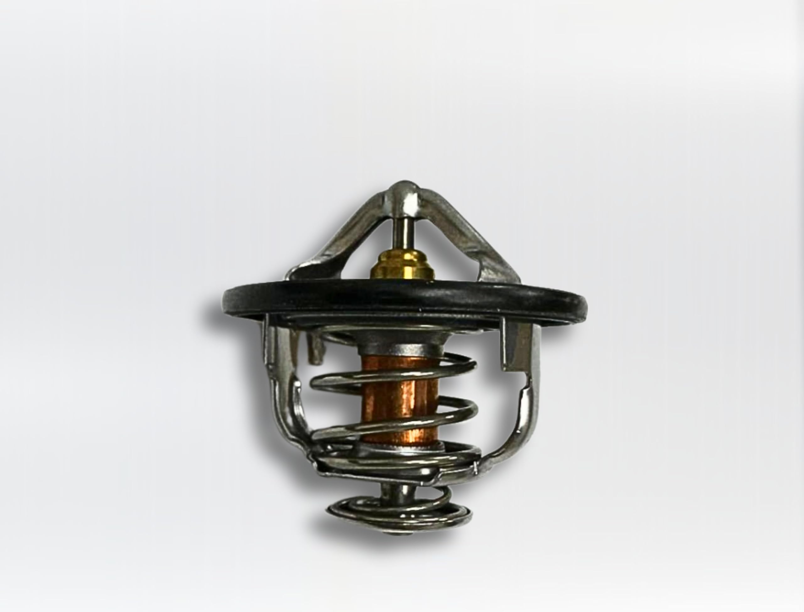 Amazon.com: Genuine- Thermostat Compatible with Isuzu Dmax 4JK1