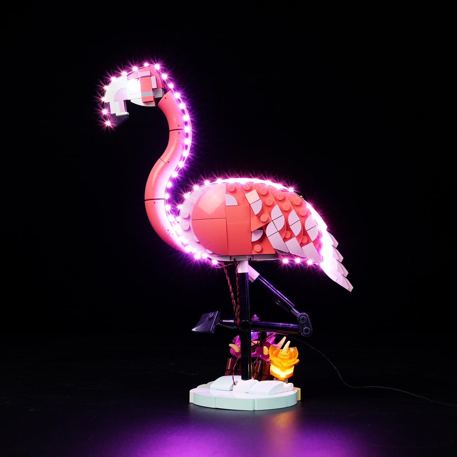Amazon.com: Rorliny LED Light Kit for Lego Wild Animals: Pink