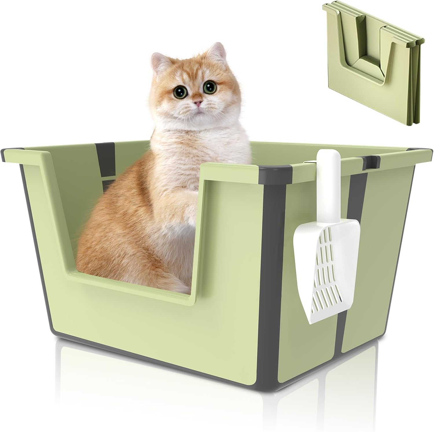 Travel Portable Cat Litter Box, Foldable High Side Australia Ubuy - Main Image