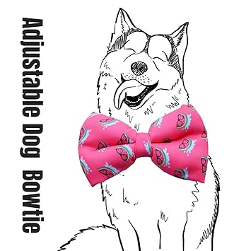 Dog Bow Tie by Lana, Quirky & Cool Dog Fashion Accessory with Easy to use Adjustable Strap - Pink Melons
