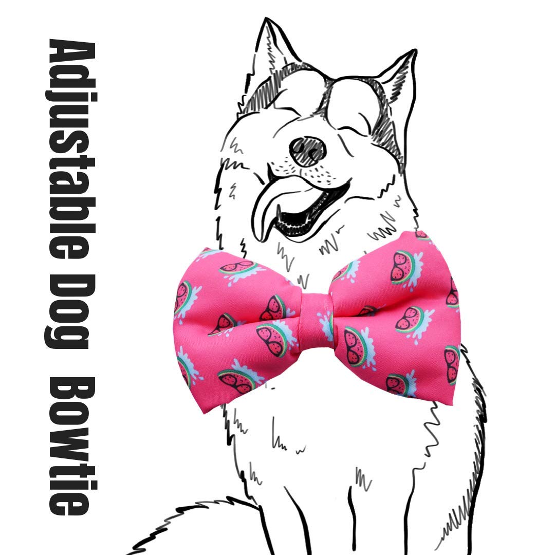 Dog Bow Tie by Lana, Quirky & Cool Dog Fashion Accessory with Easy to use Adjustable Strap - Pink Melons (B07BJ9296T) Amazon Price History, Amazon Price Tracker