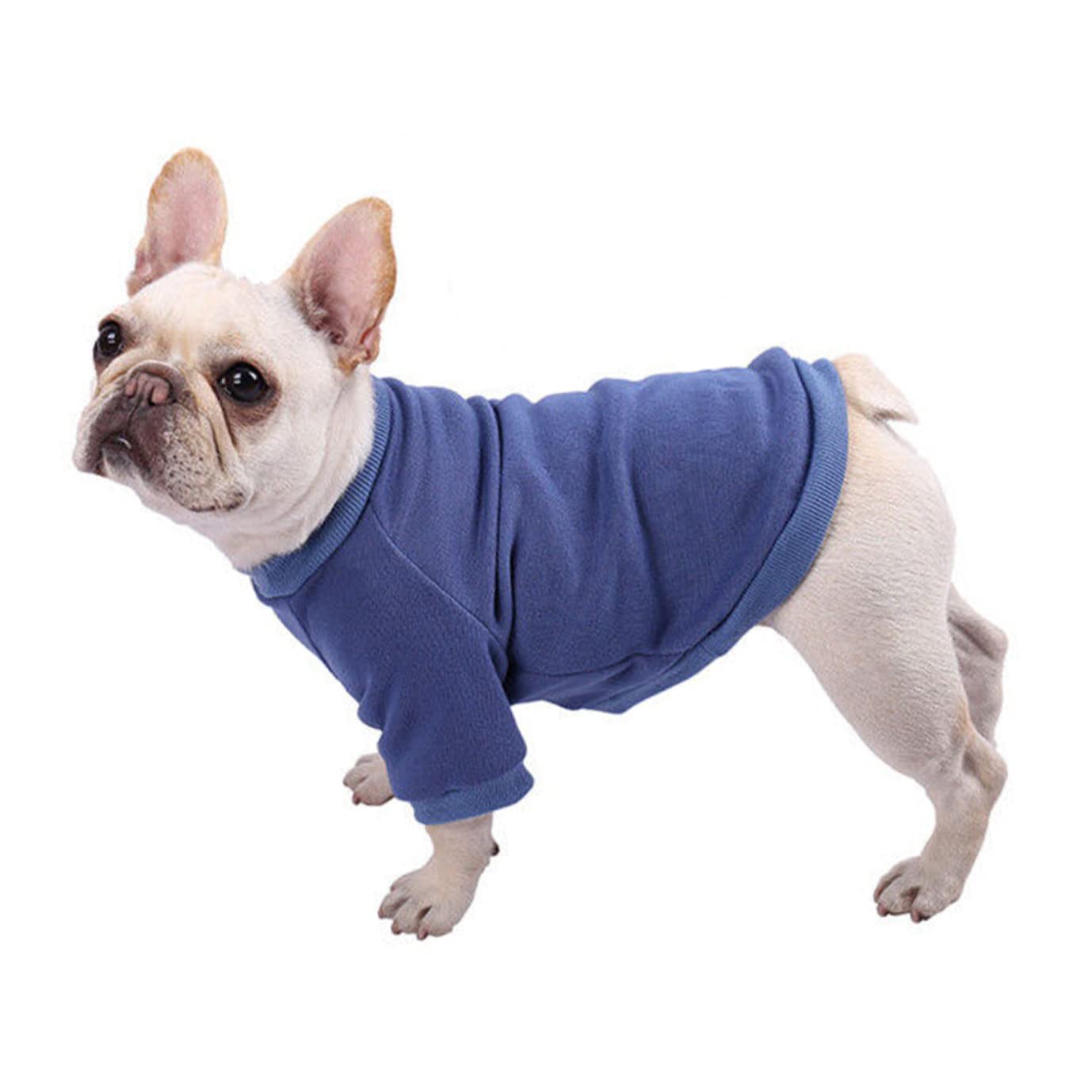 POPETPOP 5 Pezzi Adorabile Cucciolo Giacca Cane Felpa Traspirante Caldo Abbigliamento Per Animali Domestici Cucciolo Cappotto Per Esterni