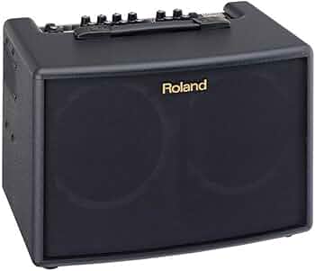 Amazon | ROLAND AC-60 アコギ用アンプ | ギター | 楽器・音響機器