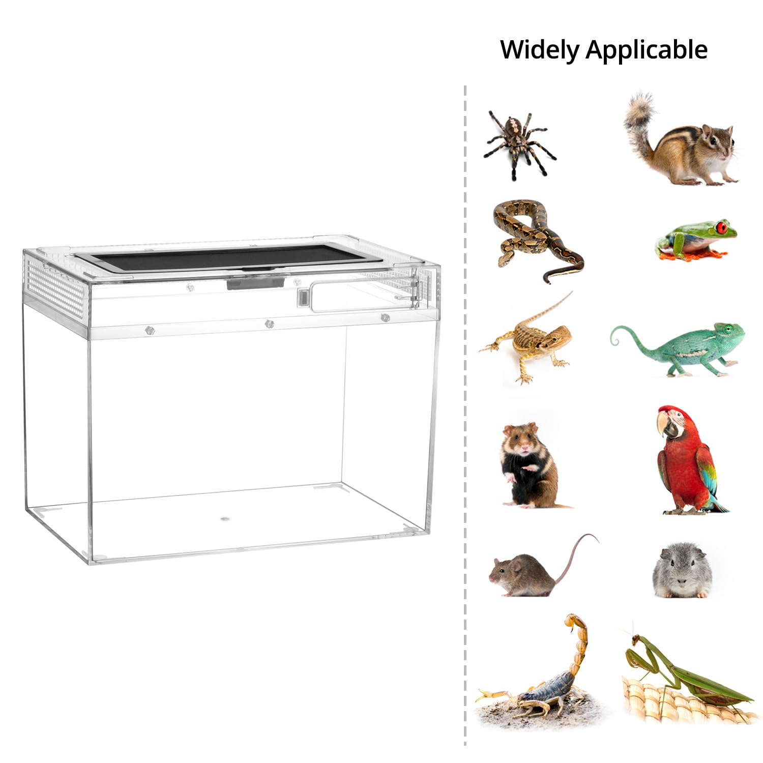 QWORK® Reptil Fütterungsbox, Feeding Box, 30 * 18 * 22cm für eine Vielzahl an Reptilien und Insekten