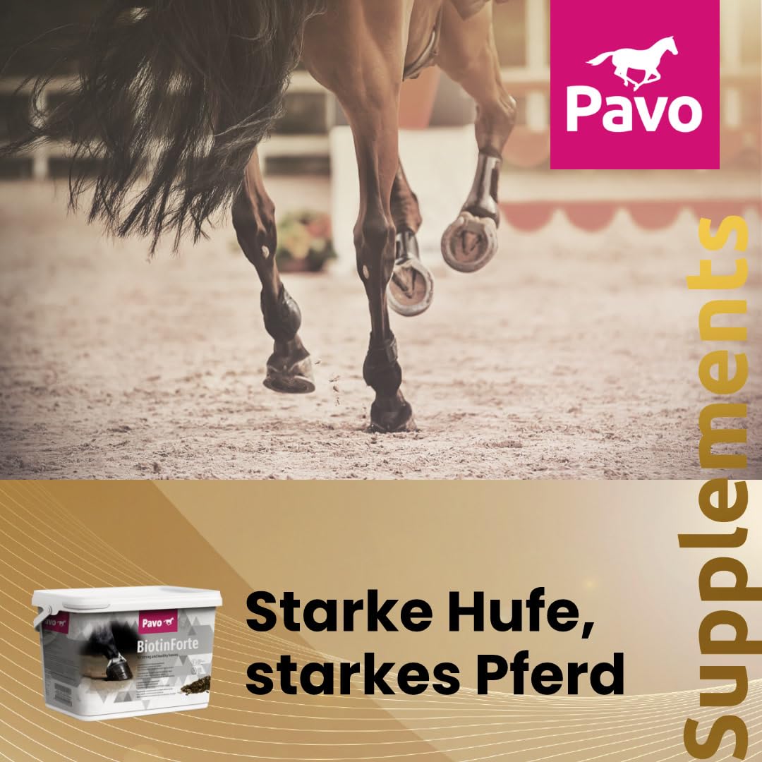 Pavo BiotinForte 3KG | Hufpflege Pferd | Biotin, Zink, Kupfer & Aminosäuren | Starke Hufe, glänzendes Fell & gesundes Bindegewebe