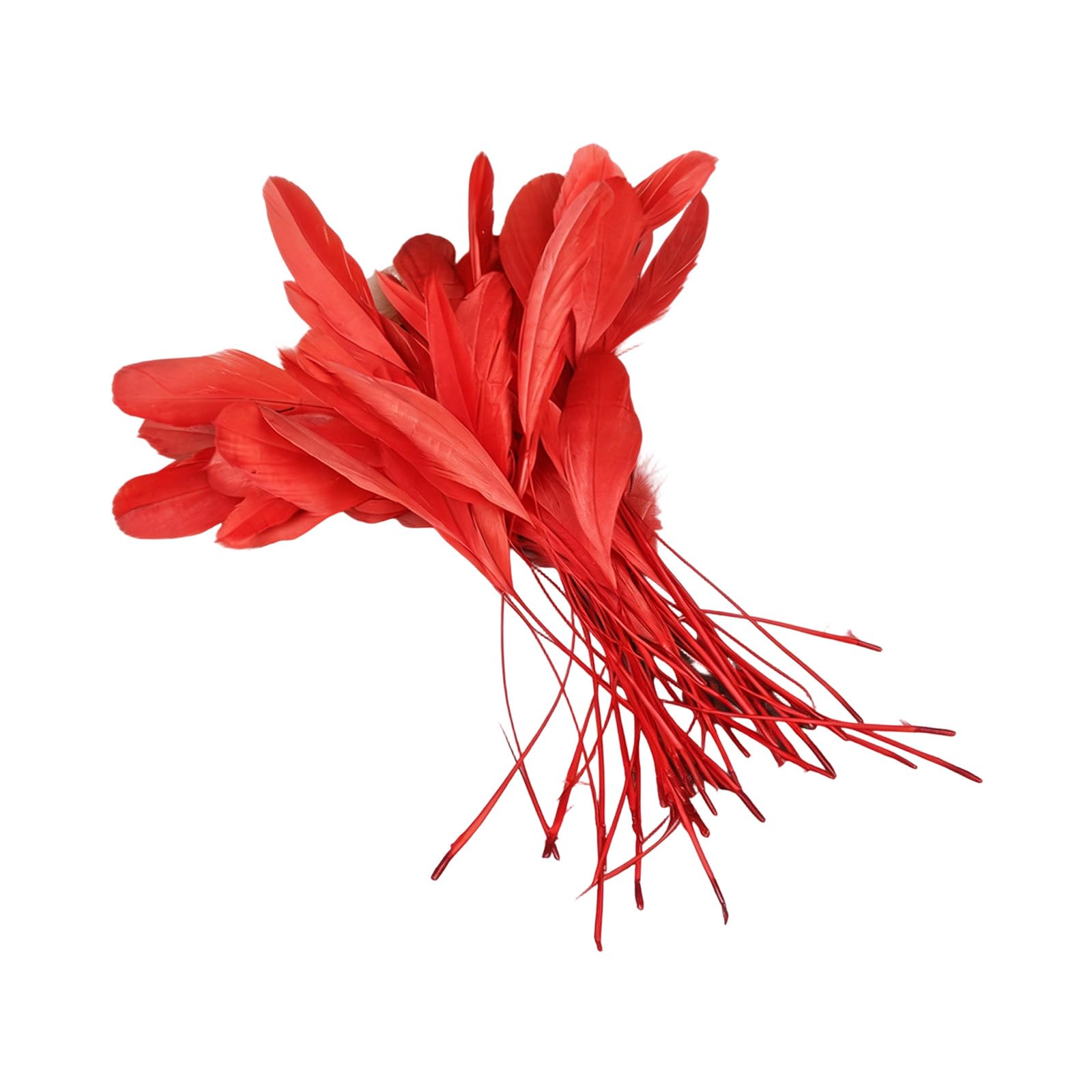 yanzunlrn Of 50 Multiple Color Plumage 12 18CM for Unique Costume Accessories and Event Decoration Long Craft Quills
