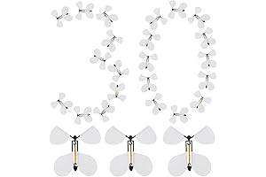 Magic Flying Butterflies, the Whimsical Gift of Flight