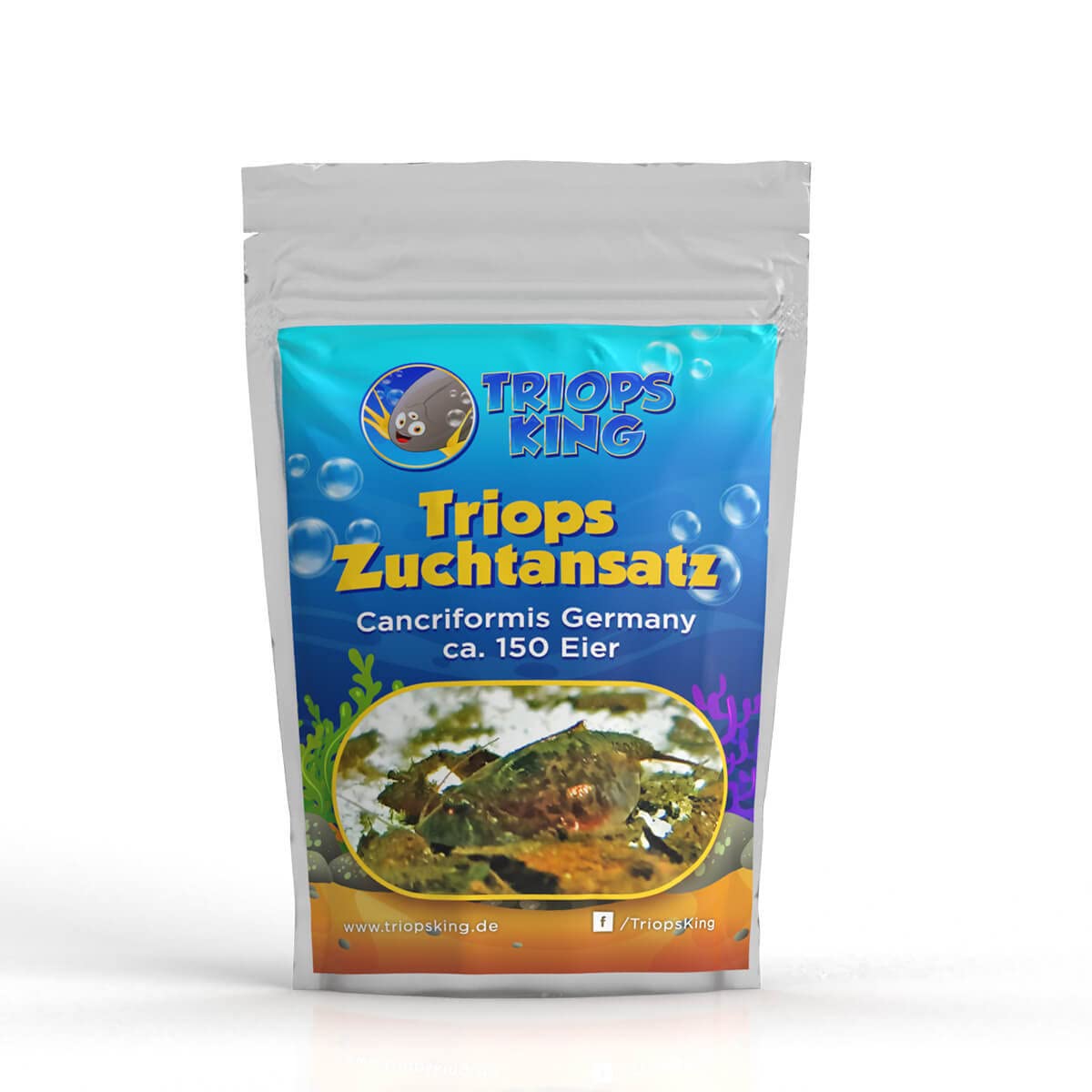 Triops Cancriformis Germany Zuchtansatz mit ca. 150 Urzeitkrebs-Eiern/Zysten Deutschland - Züchte Deine eigenen Urzeitkrebse bei dir zu Hause im Aquarium