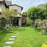 rasensamen schattenrasen - grassamen - gewächshaus klein fensterbank rasensaat bodendecker...