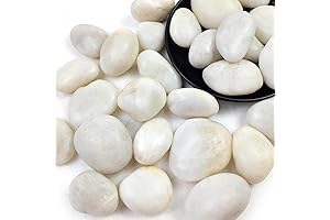 2-3" Polished White River Rocks: Beautify Your Landscape with Natural Elegance