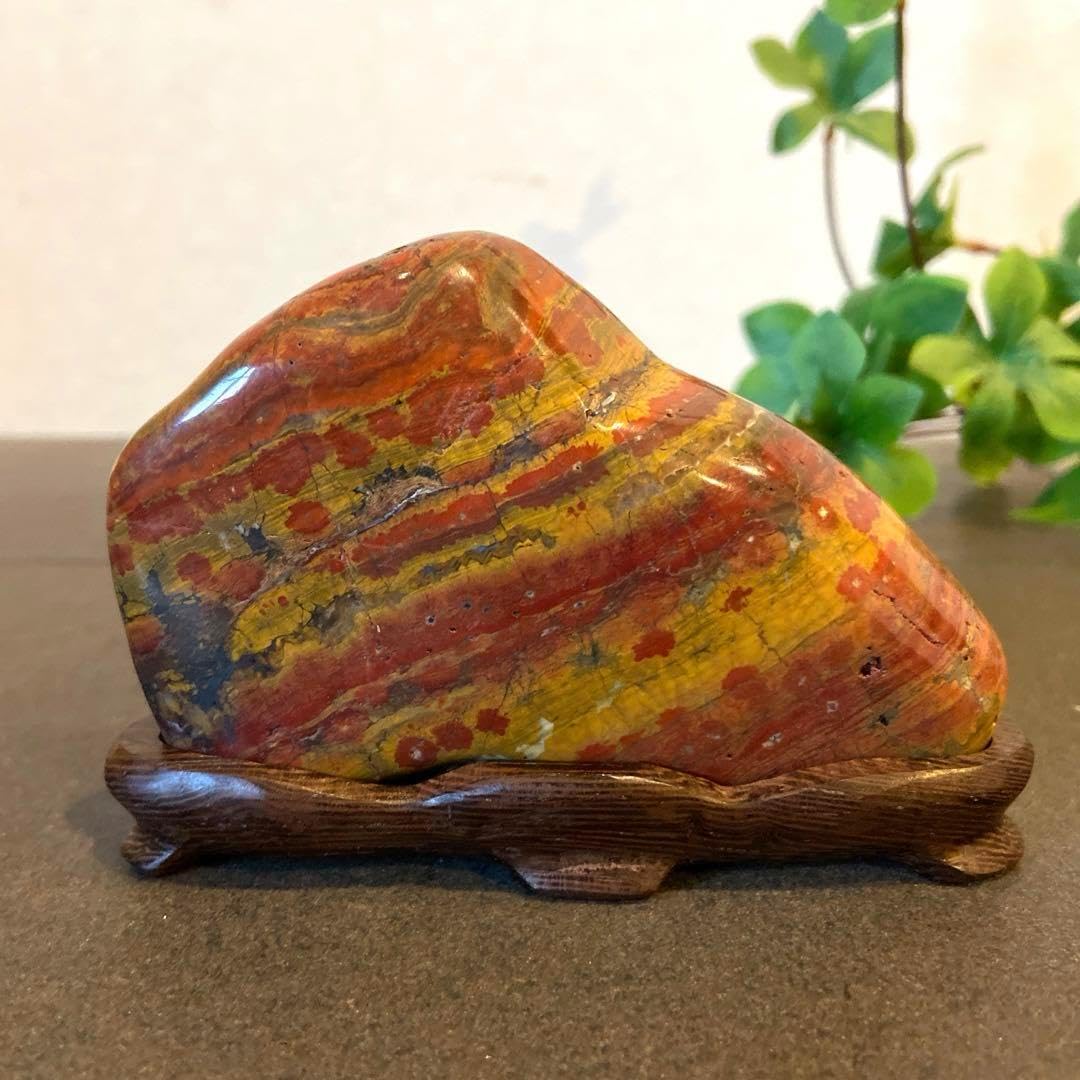 根尾桜石 豪華版 ☆ 鑑賞石 菊花石 桜石 根尾桜石 ☆