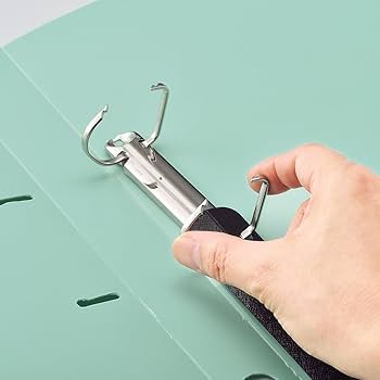 Amazon | リヒトラブ D型リングファイル ツイストリング noie