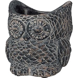   Primitives-by-Kathy-Large-Decorative-Cement-Owl-Planter