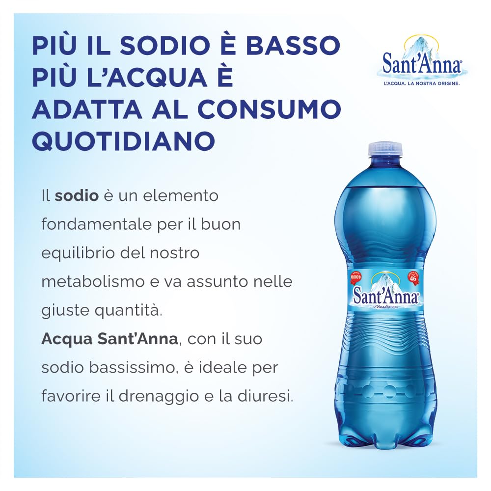 Acqua Sant'Anna Pack 1,0L Frizzante | 9 confezioni da 6 bottiglie | Acqua Minerale Naturale Oligominerale Minimamente mineralizzata | Bottiglie di Plastica 100% Riciclabile