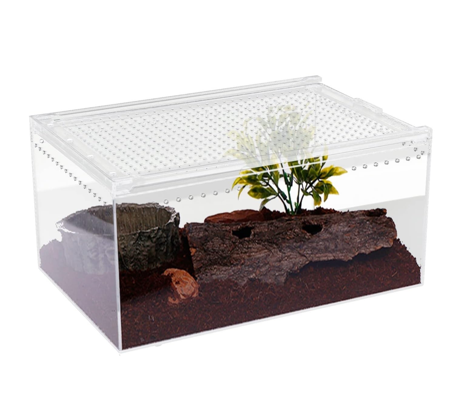 Allevamento Insetti Recinto for Rettili in Acrilico, Scatola di Riproduzione, Terrario, Gabbia Accessori(30x20x15cm)