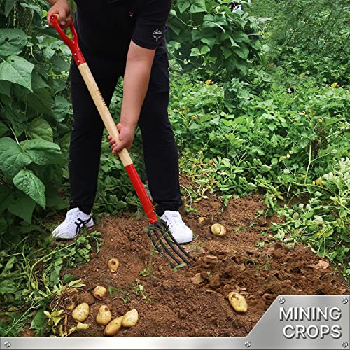 image for VNIMTI Garden Fork,4-Tine Spading Fork,Compost Fork,Steel Digging Fork