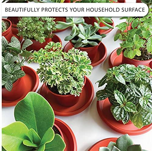 Loopseed Plant Saucer 6 Pack Drip Trays Planter Pot Base Heavy Duty Plastic Drainage Tray For Indoor Houseplants Outdoor Garden 5 Inch 8 Inch 11 Inch 3 Sizes 2 Each Round (Terracotta) #TOP1
